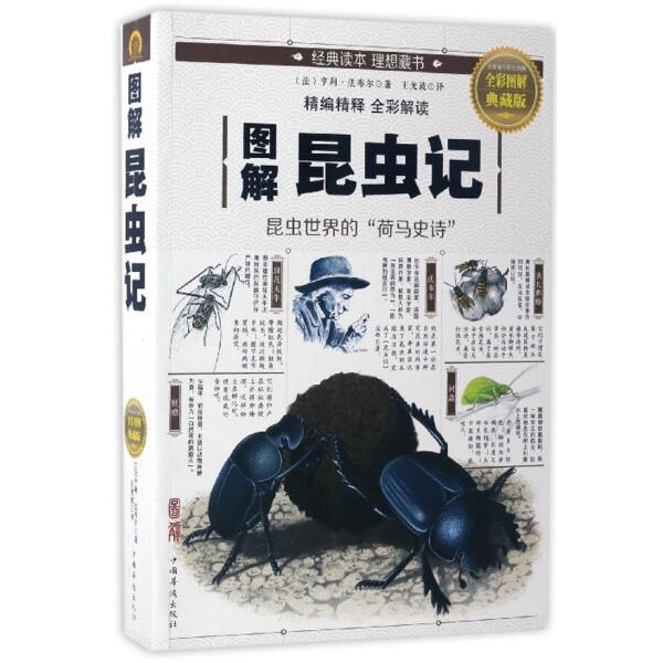 正版包邮《图解昆虫记》：昆虫世界的“荷马史诗”，9787511365262，你不可错过的自然宝典！