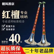 燕京唢呐乐器全套 专业红檀木杆红白事降BDC成人儿童初学大中小号