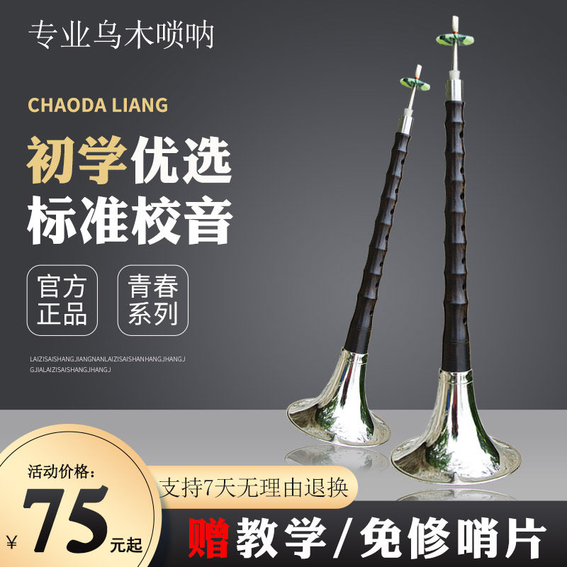 The Beginners Professional Oummu D - tune C reduction B - conditioning of Adult entry size sending whistle