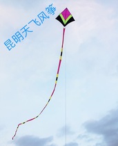 Tian Fei high-grade Sky chasing wind resistance King kite design unique high 1 5*1 8 tail 25 meters resistance 1 5-7 wind