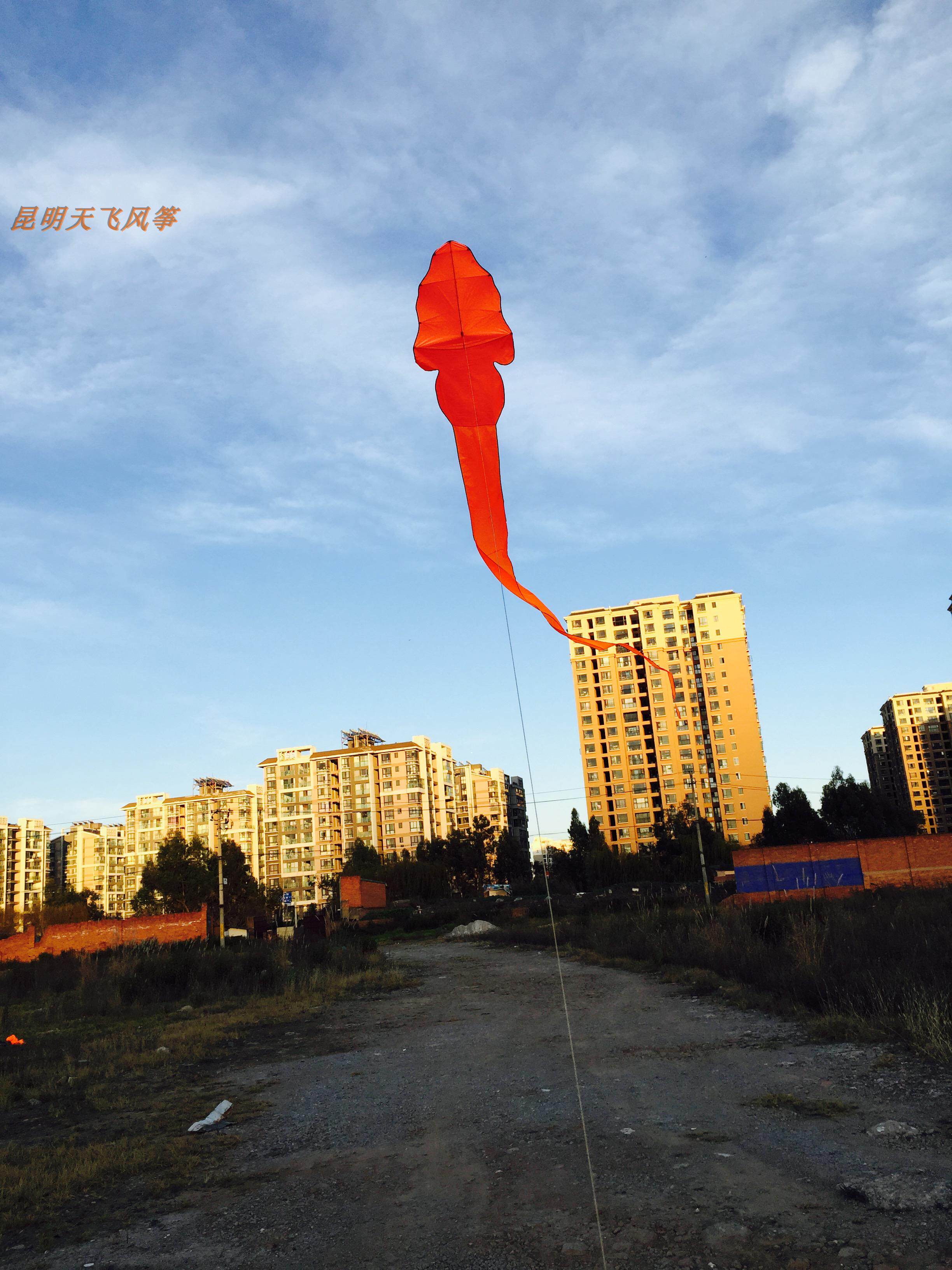 Kunming Tianfei professional version of the tadpole width 1 meter 45 total length 155 anti-2-6 wind