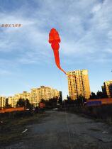 Kunming Tianfei professional big tadpole width 1 meter 45 total length 155 anti 2-6 wind