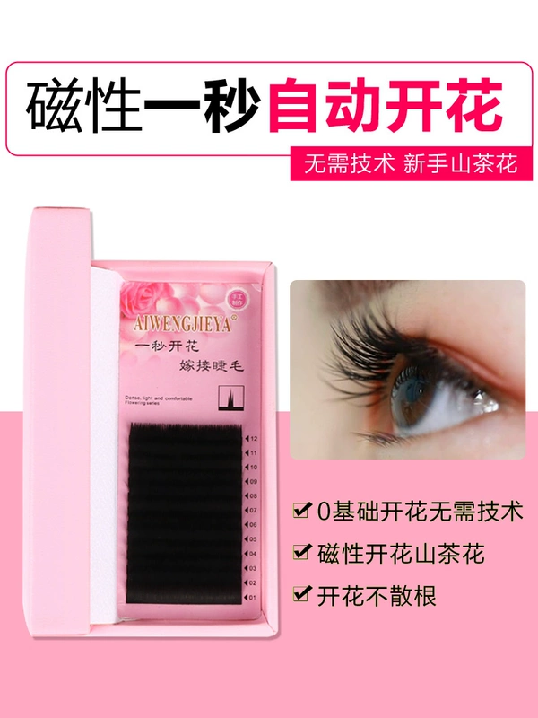 Camellia một giây hoa ghép lông mi từ tính tự động ra hoa trồng lông mi giả tự nhiên mềm bờm dày