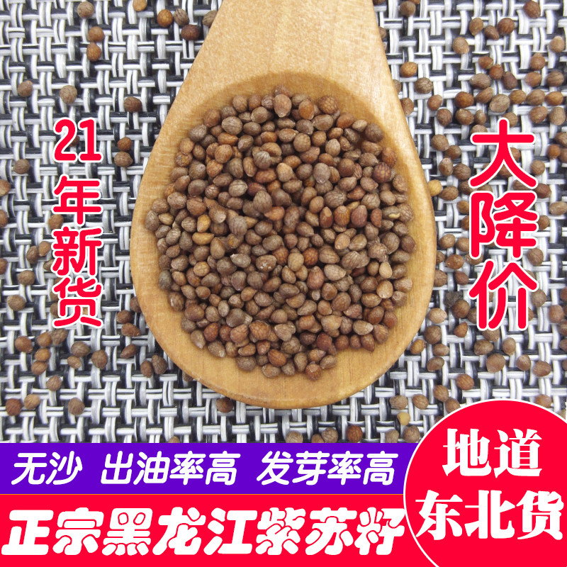 New stock Northeast Purple Suzu Seed 500g Heilongjiang Raw Purple Su Seed Pressed Oil Suzi Barbecue Seasoning Filling