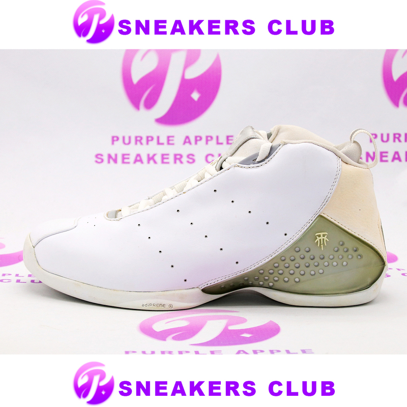Adidas T-Mac Taichi Og White and Silver Colorway Mcgrady Tai Chi Team Shoes Tmac 351634
