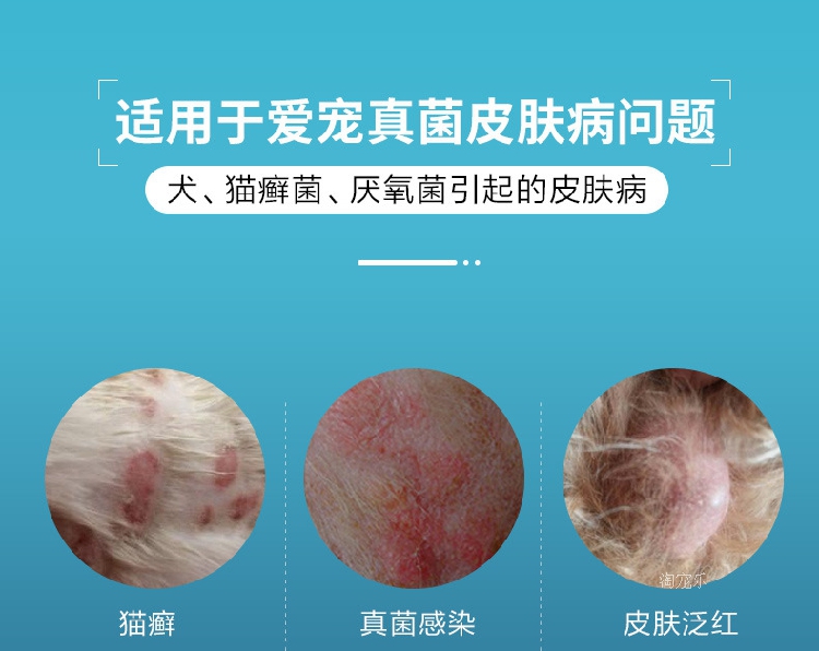 Golden Shield Pitfen thuốc mỡ Dog gián nấm Nhiễm trùng Venus Bệnh da Pet Pet mèo viêm da Mèo thuốc mỡ gián - Cat / Dog Medical Supplies kim tiêm cho chó