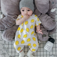 Ягоды лимона плоская ветчина