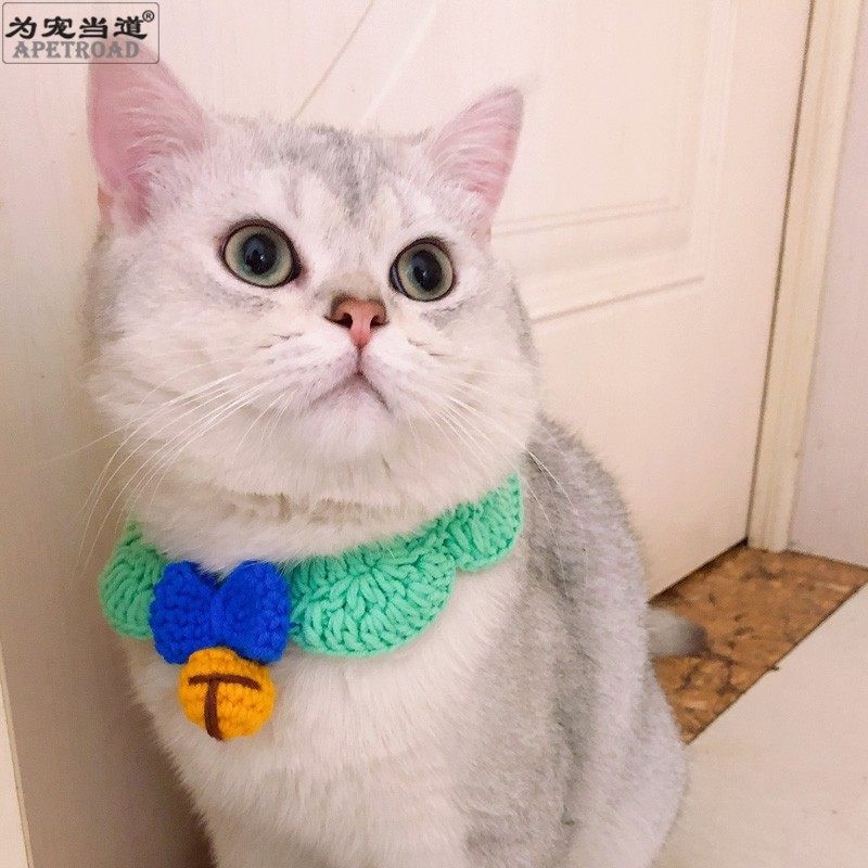 Tinking bell collar hand-knitting pet jewelry cat fake cat to lead a short short puppy puppy