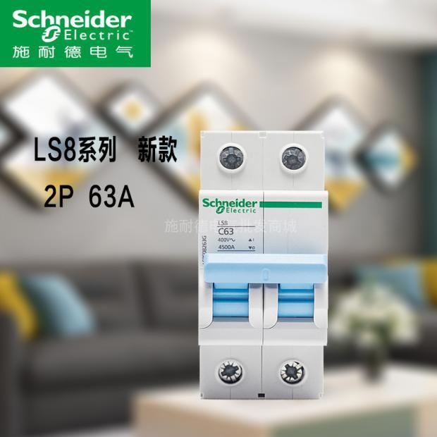 Schneider vacuum circuit breaker 2PC63A double-in double-out air switch home total open new LS8F18263G