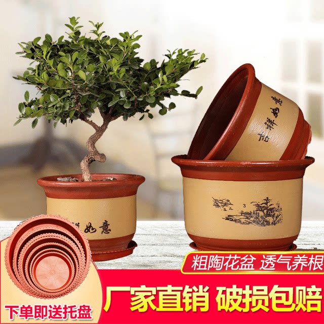 ຫມໍ້ດອກໄມ້ຂະຫນາດໃຫຍ່ລາຄາພິເສດ ceramic extra large clearance free shipping ສີມ່ວງ sand red clay coarse ceramic pot Clivia Orchid with tray