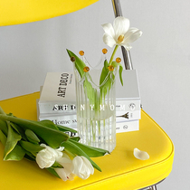 Shinymomo Beads Crown Glass Vase Line Living Room Decoration Art & Art Illustrator Vase