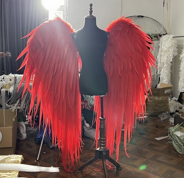 Internet Celebrity Wings