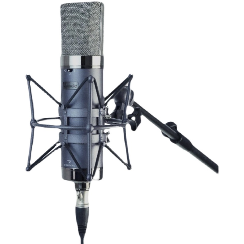 bblaudio T2 dual tone color dual-vibration film professional recording shed K song live capacitive microphone microphone 