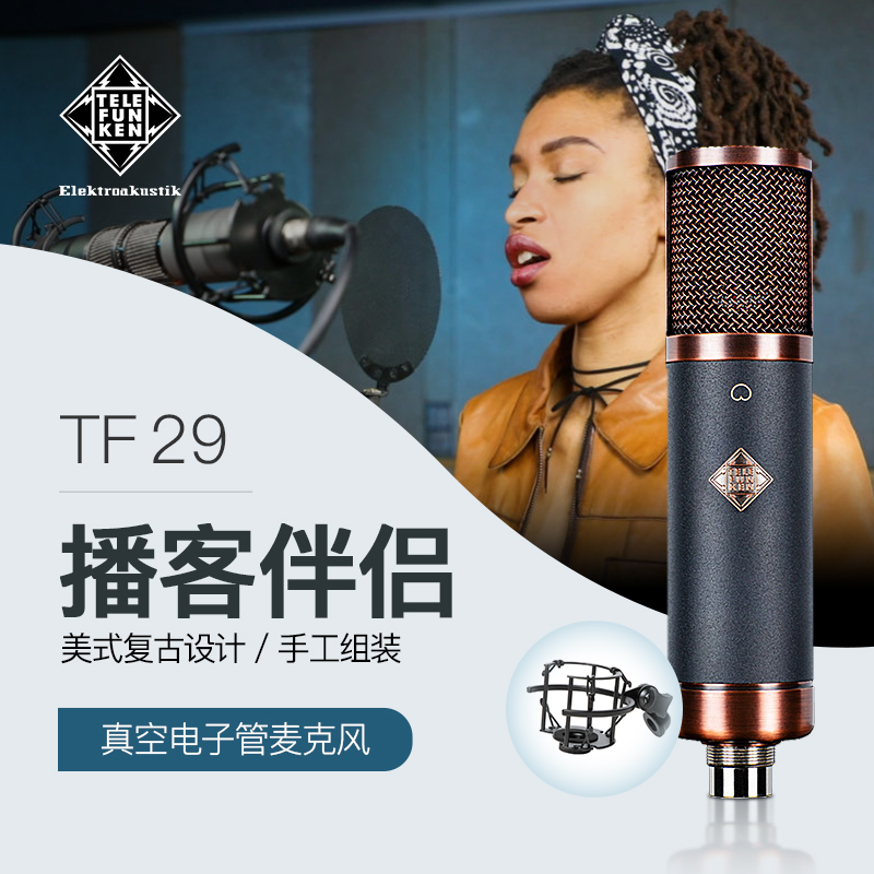 Telefunken De Lu Feng Gen TF29 Studio Special Microphone RFT Series Vacuum Tube Capacitor Microphone