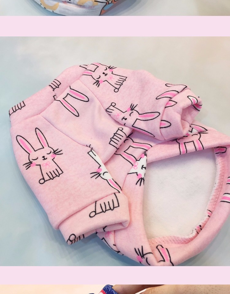 Quần áo cho chó cộng với áo len nhung cho mèo cưng trang phục hơn gấu Bomei Teddy chú chó nhỏ dễ thương mùa xuân và mùa thu hai chân - Quần áo & phụ kiện thú cưng áo chó