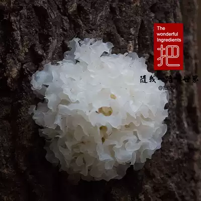 @ Take Wenhan, Tongjiang Section of Tongjiang County, Sichuan Province