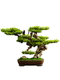 New Chinese-Style Artificial Welcoming Pine Tree for Study Room and Living Room, Fake Tree Bonsai, Desktop Green Plant, Zen Landscape Decorative Ornament