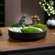 Everlasting Real Moss Plant, New Chinese-Style Bonsai Moss Micro-Landscape, Desktop Tea Room Model Room Decoration, Floral Art Potted Plant