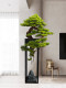 Large Artificial Green Plant Floor Decoration for Hotel Entrance, Living Room, Hallway, Fake Tree Bonsai, Potted Plant, Welcoming Pine Ornament