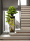 Artificial Welcoming Pine Tree, Fake Green Plant, Floor-Standing Ornament, Hotel Clubhouse Entrance Decoration, Pine Tree, Living Room, Arborvitae Soft Decoration