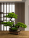 Artificial Welcoming Pine Tree Ornament, Landscaping Rockery, Bonsai, Office, Living Room, Entrance, Home Decoration, Soft Decoration, New Chinese Style