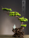 New Chinese-Style Artificial Welcoming Pine Tree, Flexible Green Plant Decoration for Home, Indoor Tea Space, Hotel, Club, Soft Decoration