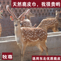 Deerskin towel car towel thickened car wash towel Car wash towel Genuine leather car suede towel Chicken skin Deerskin rag