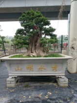 1 meter 8 rectangular flowerpot abrasive cement concrete reinforced large inside and outside can be customized building formwork