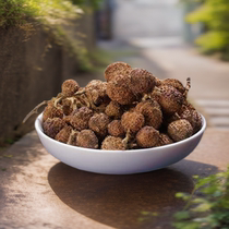 Zhengzong Yangchun Special Natural Wild Dried Fruits Natural Wild Sand Rind for Natural Wild Sand Rind and Herbal Medicine in Guangdong Sharen Herbal Soup