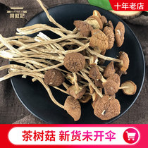 Tea tree mushroom new mushroom dry goods do not open umbrellas tea tree mushroom farmers self-produced 150g new goods