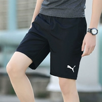 Puma, шорты, летние дышащие штаны для тренировок, для бега, свободный крой