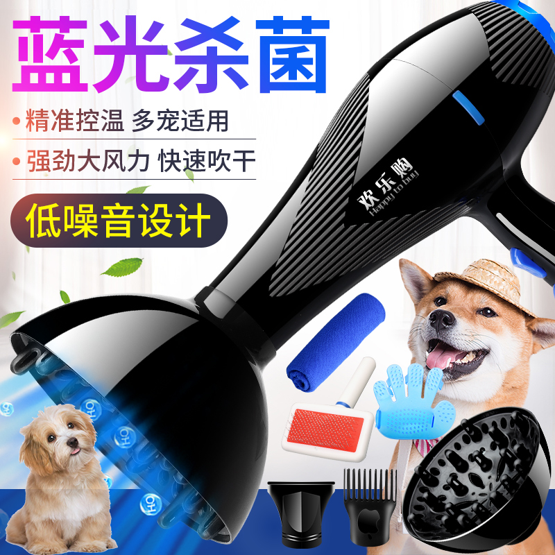 Pet hair dryer size power cat teddy golden retriever dog big and small dog special pet shop water blower