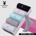 Playboy mùa hè dễ thương thở nữ vớ thoáng khí mùa xuân và mùa thu thể thao cotton vớ giản dị vớ ngắn nữ - Bít tất nữ Bít tất nữ
