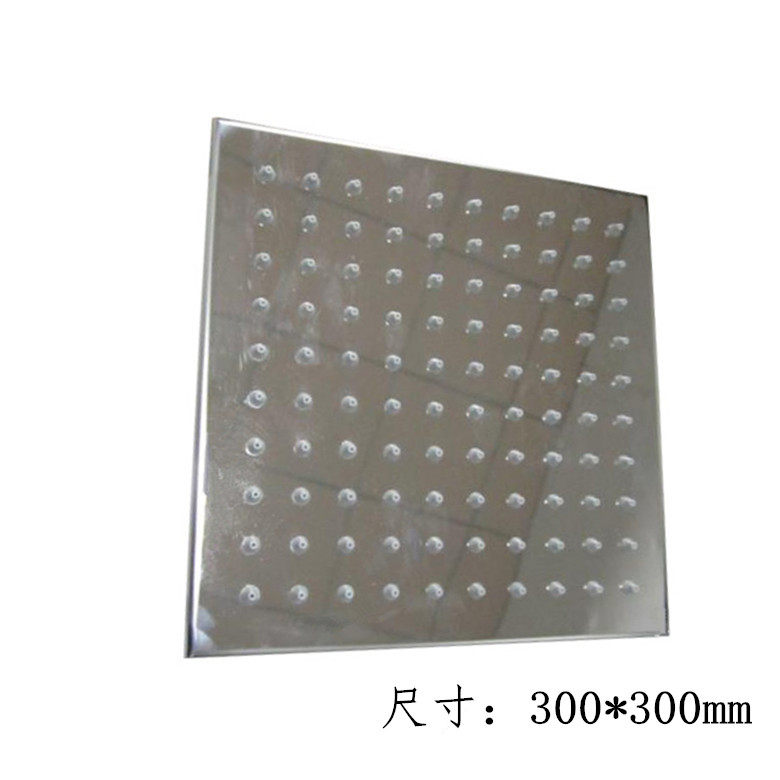 Swimming pool Force spray Aisle Shower with special 304 stainless steel shower head large shower head 300 * 300 induction shower