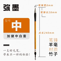 Jiajian Zhongbai Cloud