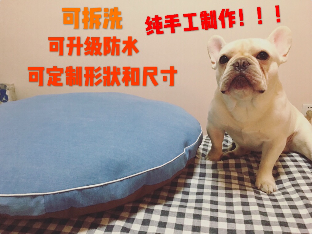 楽観計算半ば絨毯犬 Tera Charity Org