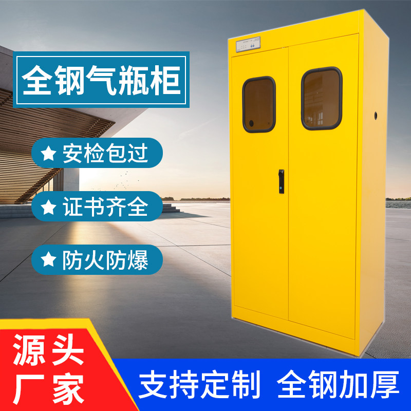 Laboratory Explosion Protection Cabinet Chemicals Safety Cabinet Ventilated Gas Cylinder Cabinet Storage Cabinet Full Steel Alarm Gas Cylinder Cabinet