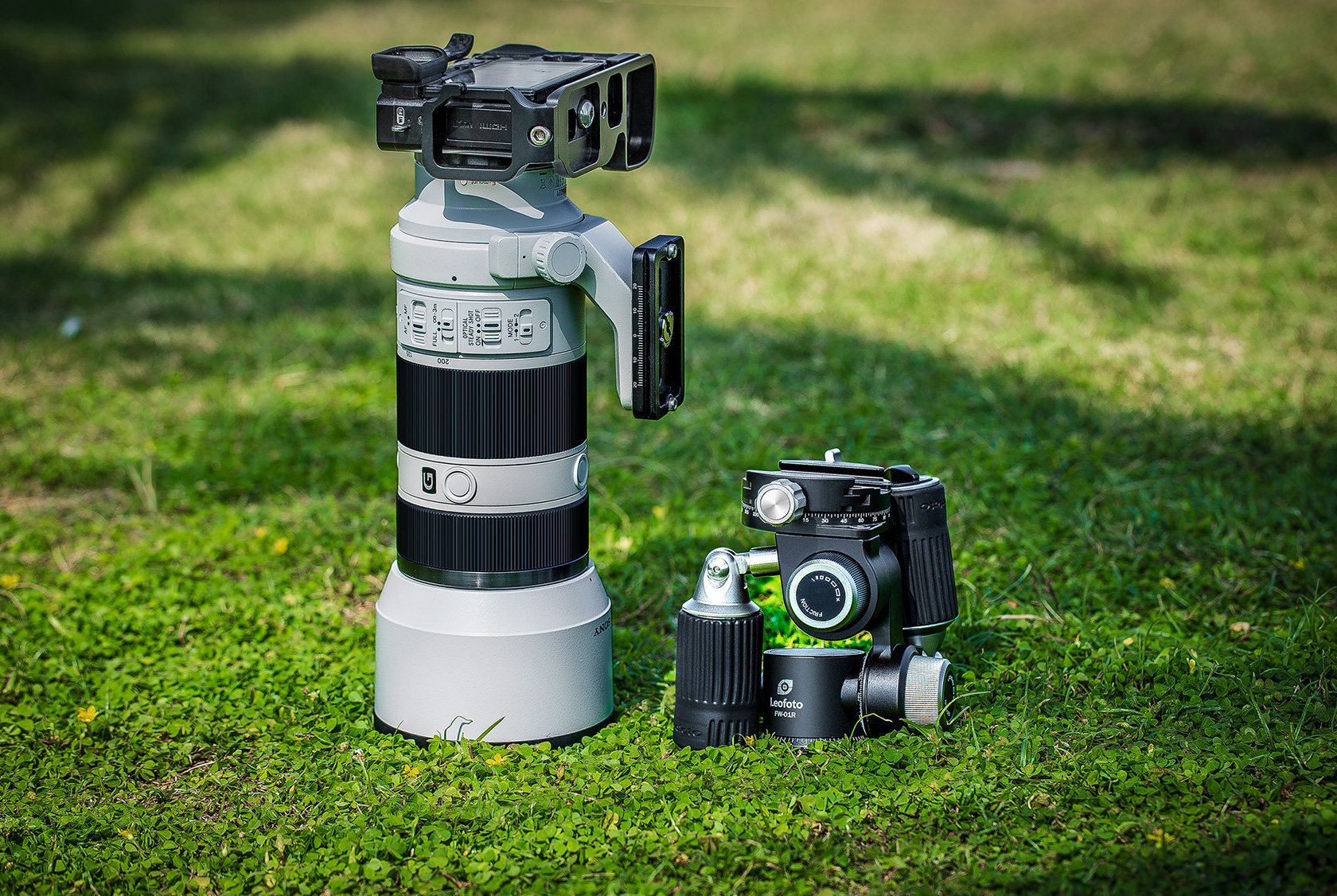 Leofoto FW-01R 4-Way Head Pan-and-Tilt Head Tripod head with NP-60