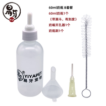 Bottle feeding for kittens just born baby kitty Little milk dog Little cat cubs baby bottle kitty baby bottle Pets pet little bunny