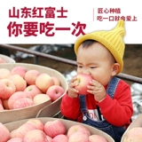Yantai Hong Fuji Apple 10 фунтов из 10 фунтов продуктов Shandong Qixia непосредственно обнаружило новый сезон с пресной водой.