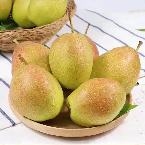 跸憷 跸憷?