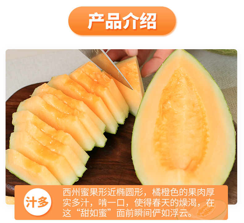 【热卖】西州新鲜蜜甜哈密瓜网纹瓜3斤
