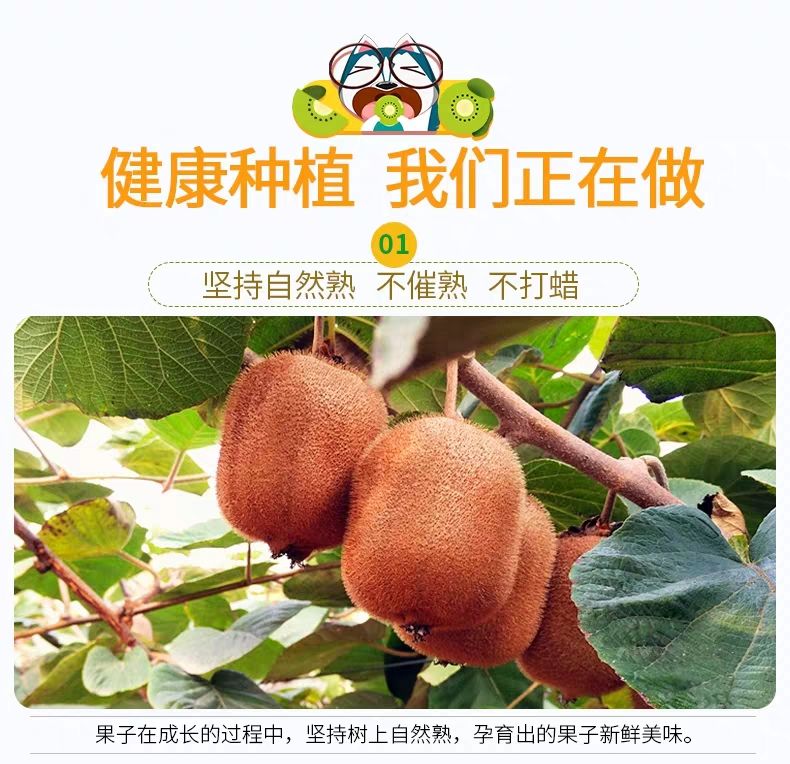 【西域果园】陕西绿心猕猴桃大果100g