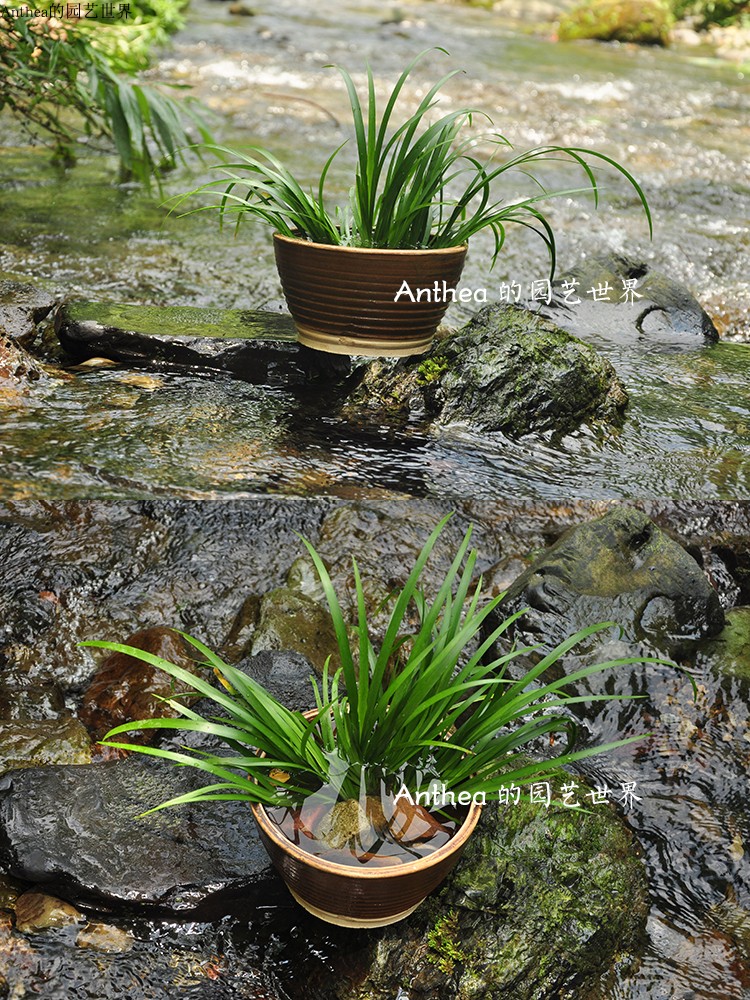 Đất nung bát cổ nhà hoài cổ đất nung bộ đồ ăn trang trại retro đồ gia dụng kinh doanh thương mại Sán Đầu trang trại đất bộ đồ ăn đất đũa ăn cơm