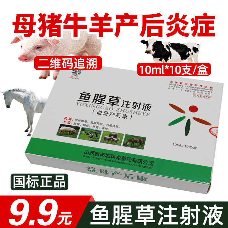 Veterinary medicine Kelong Houttuynia injection Yimu postpartum Kangrutong pig cattle sheep sow postpartum anti-inflammatory needle dysentery