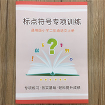  13 Second Grade Chinese book punctuation special training book Exercise book
