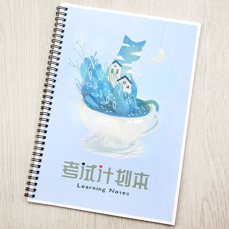 Exam plan this postgraduate study plan schedule this time management self-discipline this student test preparation plan this hand book