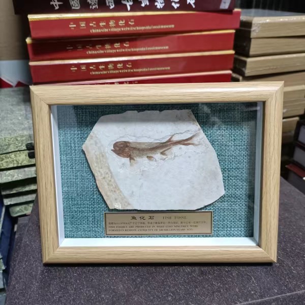 Fish fossil Liao West Chaoyang ancient Biological Wolverine Finishes Fossilized Single Fish Plate Photo Frame Pendulum with Gift Jiaoi-Taobao
