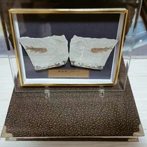 Fish fossils from Chaoyang Liaoning Province paleontological wolf-finned fish fossils double fish glass frame ornaments table decorations and gift boxes