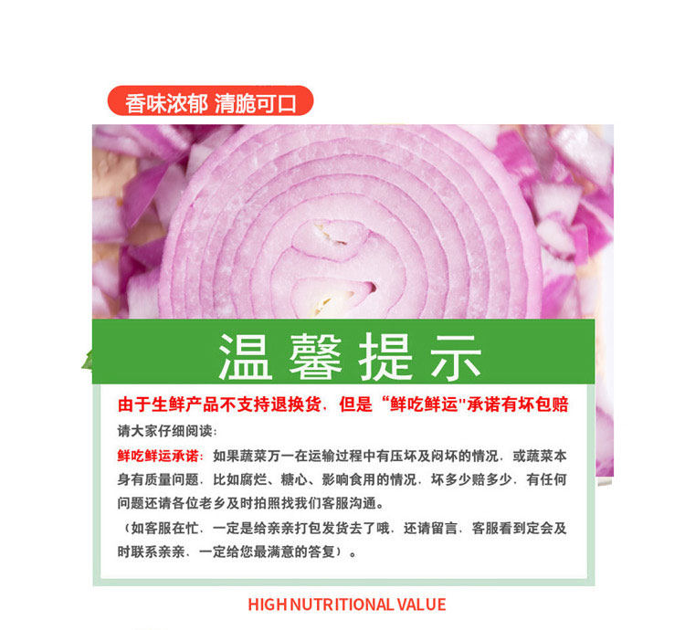ONION_03.JPG